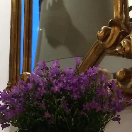 Bed & Breakfast Le Stanze Del Cardinale Pavia
